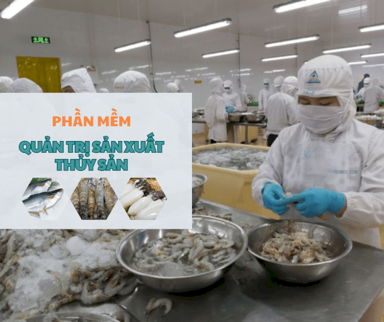 Phần mềm Quản Lý Sản Xuất Tính Giá Thành Thủy Sản - TTV SEAFOODS