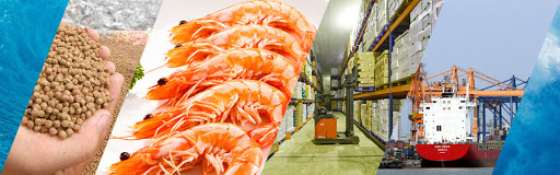 Phần mềm Sản Xuất Giá Thành Thủy Sản