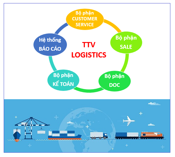 Phần Mềm Quản Lý Vận Chuyển - TTV LOGISTICS