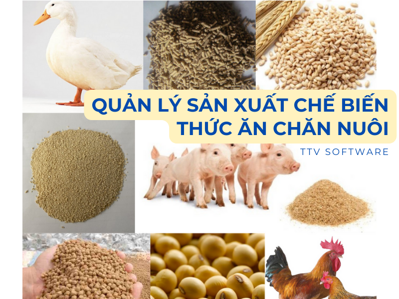 Phần mềm quản lý sản xuất thức ăn chăn nuôi