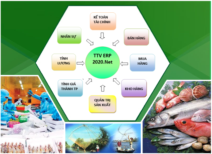 Phần Mềm Quản Trị Sản Xuất - Tính Giá Thành Thủy Hải Sản