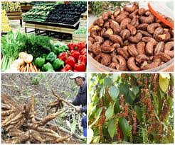 Phần Mềm Quản Lý Hàng Nông Sản