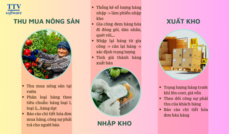 Phần mềm quản lý kho nông sản